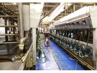 Property photo 20 - SOUTHWEST WISCONSIN DAIRY DISPERSAL - 211+/- ACRES OFFERED IN 5 TRACTS WITH APPROX. 1500 ACRES THAT MAY BE LEASED. 1550 MILKING COWS/225 DRY COWS/1600 HEIFERS