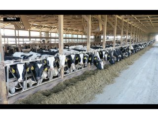 Property photo 18 - SOUTHWEST WISCONSIN DAIRY DISPERSAL - 211+/- ACRES OFFERED IN 5 TRACTS WITH APPROX. 1500 ACRES THAT MAY BE LEASED. 1550 MILKING COWS/225 DRY COWS/1600 HEIFERS