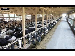 Property photo 13 - SOUTHWEST WISCONSIN DAIRY DISPERSAL - 211+/- ACRES OFFERED IN 5 TRACTS WITH APPROX. 1500 ACRES THAT MAY BE LEASED. 1550 MILKING COWS/225 DRY COWS/1600 HEIFERS