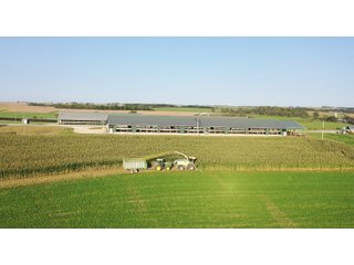 Property photo 35 - SOUTHWEST WISCONSIN DAIRY DISPERSAL - 211+/- ACRES OFFERED IN 5 TRACTS WITH APPROX. 1500 ACRES THAT MAY BE LEASED. 1550 MILKING COWS/225 DRY COWS/1600 HEIFERS