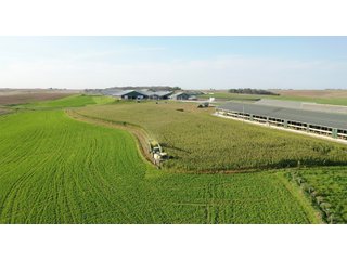 Property photo 37 - SOUTHWEST WISCONSIN DAIRY DISPERSAL - 211+/- ACRES OFFERED IN 5 TRACTS WITH APPROX. 1500 ACRES THAT MAY BE LEASED. 1550 MILKING COWS/225 DRY COWS/1600 HEIFERS