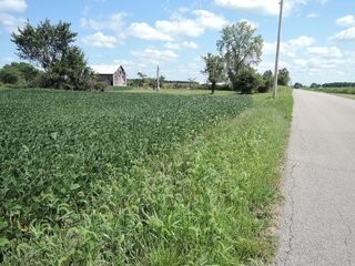 Property photo 34 - LAND AUCTION - 60+/- ACRES OFFERED IN 2 TRACTS IN DELAWARE AND BLACKFORD COUNTY, INDIANA