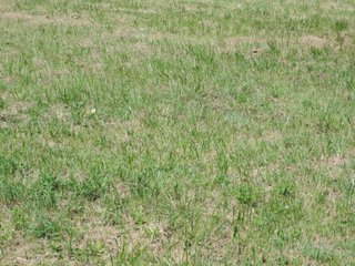 Property photo 37 - LAND AUCTION - 60+/- ACRES OFFERED IN 2 TRACTS IN DELAWARE AND BLACKFORD COUNTY, INDIANA