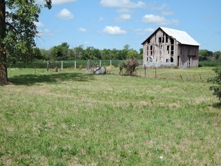 Property photo 38 - LAND AUCTION - 60+/- ACRES OFFERED IN 2 TRACTS IN DELAWARE AND BLACKFORD COUNTY, INDIANA