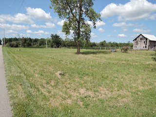 Property photo 39 - LAND AUCTION - 60+/- ACRES OFFERED IN 2 TRACTS IN DELAWARE AND BLACKFORD COUNTY, INDIANA