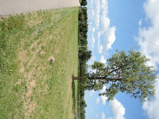 Property photo 40 - LAND AUCTION - 60+/- ACRES OFFERED IN 2 TRACTS IN DELAWARE AND BLACKFORD COUNTY, INDIANA