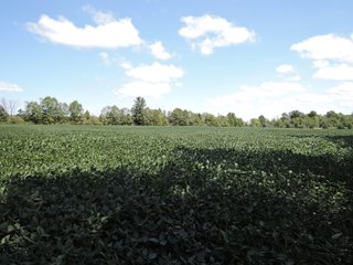 Property photo 33 - LAND AUCTION - 60+/- ACRES OFFERED IN 2 TRACTS IN DELAWARE AND BLACKFORD COUNTY, INDIANA