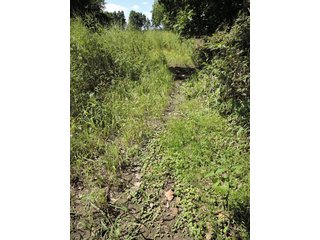 Property photo 47 - LAND AUCTION - 60+/- ACRES OFFERED IN 2 TRACTS IN DELAWARE AND BLACKFORD COUNTY, INDIANA