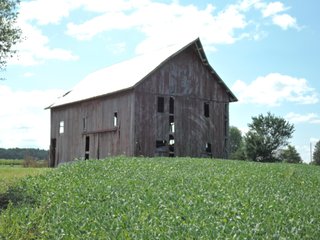 Property photo 29 - LAND AUCTION - 60+/- ACRES OFFERED IN 2 TRACTS IN DELAWARE AND BLACKFORD COUNTY, INDIANA