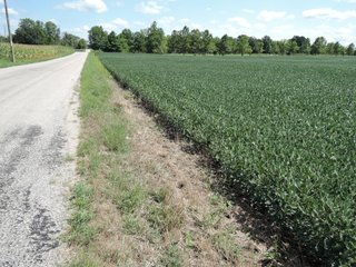Property photo 25 - LAND AUCTION - 60+/- ACRES OFFERED IN 2 TRACTS IN DELAWARE AND BLACKFORD COUNTY, INDIANA
