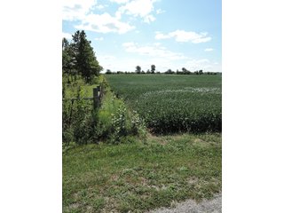 Property photo 22 - LAND AUCTION - 60+/- ACRES OFFERED IN 2 TRACTS IN DELAWARE AND BLACKFORD COUNTY, INDIANA