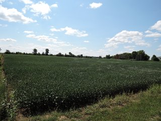 Property photo 21 - LAND AUCTION - 60+/- ACRES OFFERED IN 2 TRACTS IN DELAWARE AND BLACKFORD COUNTY, INDIANA