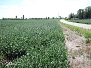Property photo 20 - LAND AUCTION - 60+/- ACRES OFFERED IN 2 TRACTS IN DELAWARE AND BLACKFORD COUNTY, INDIANA