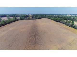 Property photo 10 - LAND AUCTION - 60+/- ACRES OFFERED IN 2 TRACTS IN DELAWARE AND BLACKFORD COUNTY, INDIANA