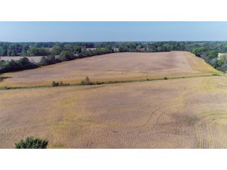 Property photo 13 - LAND AUCTION - 60+/- ACRES OFFERED IN 2 TRACTS IN DELAWARE AND BLACKFORD COUNTY, INDIANA