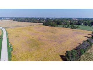 Property photo 15 - LAND AUCTION - 60+/- ACRES OFFERED IN 2 TRACTS IN DELAWARE AND BLACKFORD COUNTY, INDIANA