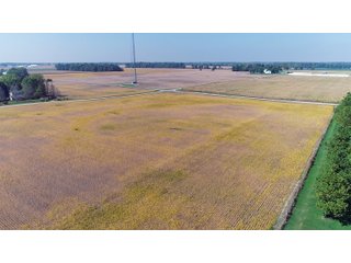 Property photo 17 - LAND AUCTION - 60+/- ACRES OFFERED IN 2 TRACTS IN DELAWARE AND BLACKFORD COUNTY, INDIANA