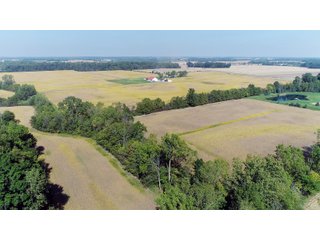 Property photo 4 - LAND AUCTION - 60+/- ACRES OFFERED IN 2 TRACTS IN DELAWARE AND BLACKFORD COUNTY, INDIANA