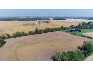 Property photo 5 - LAND AUCTION - 60+/- ACRES OFFERED IN 2 TRACTS IN DELAWARE AND BLACKFORD COUNTY, INDIANA