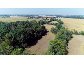 Property photo 6 - LAND AUCTION - 60+/- ACRES OFFERED IN 2 TRACTS IN DELAWARE AND BLACKFORD COUNTY, INDIANA