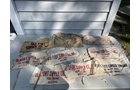 Property photo 222 - TIMED ONLINE ONLY - PERSONAL PROPERTY AUCTION IN ALLEN COUNTY, INDIANA