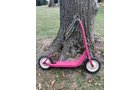 Property photo 304 - TIMED ONLINE ONLY - PERSONAL PROPERTY AUCTION IN ALLEN COUNTY, INDIANA