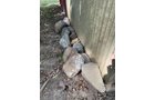 Property photo 320 - TIMED ONLINE ONLY - PERSONAL PROPERTY AUCTION IN ALLEN COUNTY, INDIANA