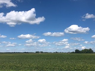 Property photo 22 - OHIO LAND AUCTION - 160 +/- ACRES OFFERED IN 5 TRACTS IN CLARK COUNTY, OH