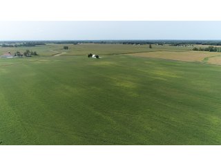 Property photo 18 - OHIO LAND AUCTION - 160 +/- ACRES OFFERED IN 5 TRACTS IN CLARK COUNTY, OH