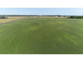 Property photo 20 - OHIO LAND AUCTION - 160 +/- ACRES OFFERED IN 5 TRACTS IN CLARK COUNTY, OH