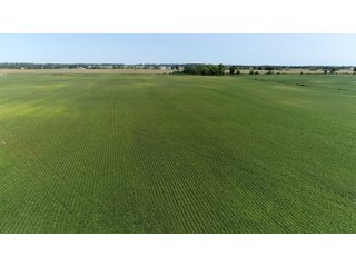 Property photo 21 - OHIO LAND AUCTION - 160 +/- ACRES OFFERED IN 5 TRACTS IN CLARK COUNTY, OH