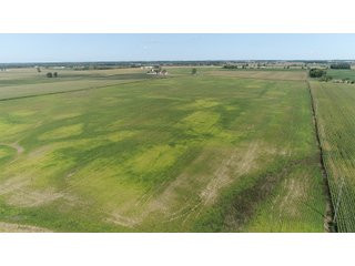 Property photo 3 - OHIO LAND AUCTION - 160 +/- ACRES OFFERED IN 5 TRACTS IN CLARK COUNTY, OH