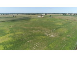 Property photo 4 - OHIO LAND AUCTION - 160 +/- ACRES OFFERED IN 5 TRACTS IN CLARK COUNTY, OH