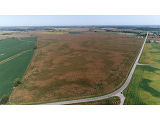 Property photo 9 - LAND AUCTION - 376+/- ACRES OFFERED IN 4 TRACTS IN PICKAWAY COUNTY, OHIO