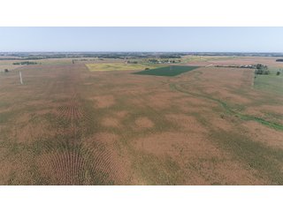 Property photo 19 - LAND AUCTION - 376+/- ACRES OFFERED IN 4 TRACTS IN PICKAWAY COUNTY, OHIO