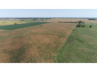 Property photo 16 - LAND AUCTION - 376+/- ACRES OFFERED IN 4 TRACTS IN PICKAWAY COUNTY, OHIO