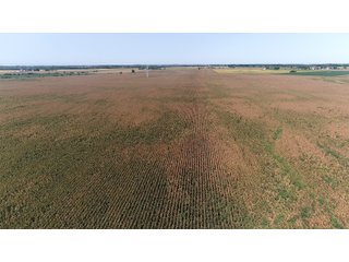 Property photo 15 - LAND AUCTION - 376+/- ACRES OFFERED IN 4 TRACTS IN PICKAWAY COUNTY, OHIO