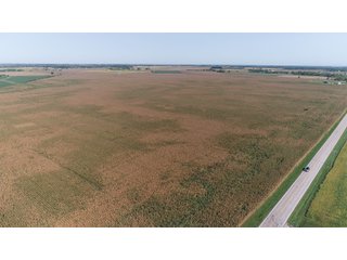Property photo 13 - LAND AUCTION - 376+/- ACRES OFFERED IN 4 TRACTS IN PICKAWAY COUNTY, OHIO