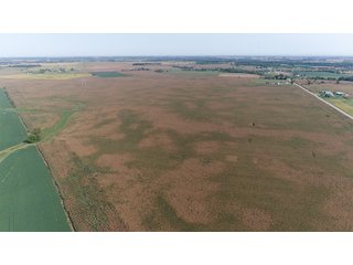 Property photo 11 - LAND AUCTION - 376+/- ACRES OFFERED IN 4 TRACTS IN PICKAWAY COUNTY, OHIO