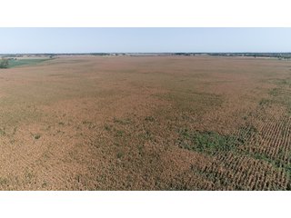 Property photo 10 - LAND AUCTION - 376+/- ACRES OFFERED IN 4 TRACTS IN PICKAWAY COUNTY, OHIO