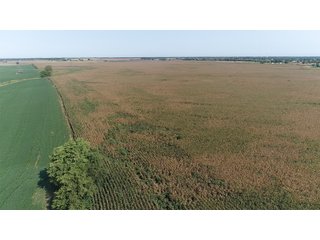 Property photo 1 - LAND AUCTION - 376+/- ACRES OFFERED IN 4 TRACTS IN PICKAWAY COUNTY, OHIO
