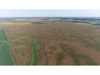 Property photo 8 - LAND AUCTION - 376+/- ACRES OFFERED IN 4 TRACTS IN PICKAWAY COUNTY, OHIO