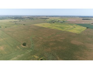 Property photo 7 - LAND AUCTION - 376+/- ACRES OFFERED IN 4 TRACTS IN PICKAWAY COUNTY, OHIO