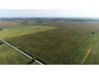 Property photo 4 - LAND AUCTION - 376+/- ACRES OFFERED IN 4 TRACTS IN PICKAWAY COUNTY, OHIO