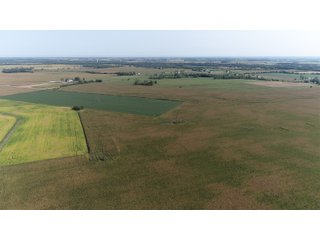 Property photo 3 - LAND AUCTION - 376+/- ACRES OFFERED IN 4 TRACTS IN PICKAWAY COUNTY, OHIO
