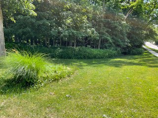 Property photo 9 - LAND AUCTION - 293+/- ACRES OFFERED IN 13 TRACTS IN CARROLL COUNTY, INDIANA