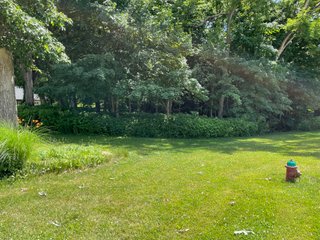 Property photo 13 - LAND AUCTION - 293+/- ACRES OFFERED IN 13 TRACTS IN CARROLL COUNTY, INDIANA