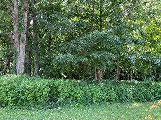 Property photo 14 - LAND AUCTION - 293+/- ACRES OFFERED IN 13 TRACTS IN CARROLL COUNTY, INDIANA