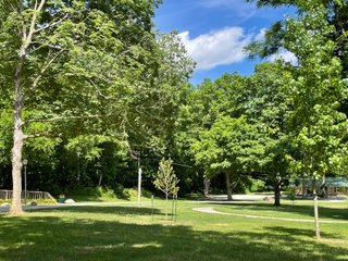 Property photo 16 - LAND AUCTION - 293+/- ACRES OFFERED IN 13 TRACTS IN CARROLL COUNTY, INDIANA