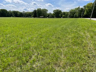 Property photo 18 - LAND AUCTION - 293+/- ACRES OFFERED IN 13 TRACTS IN CARROLL COUNTY, INDIANA